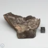 UNWA Meteorite Windowed Stone 206.3g