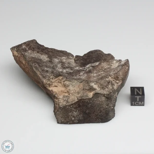 UNWA Meteorite Windowed Stone 206.3g