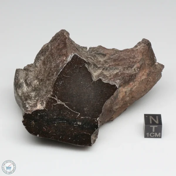 UNWA Meteorite Windowed Stone 206.3g