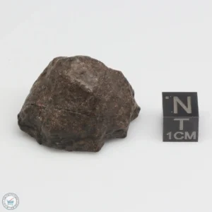 UNWA Meteorite Stone 30.8g