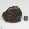 UNWA Meteorite Stone 120.6g