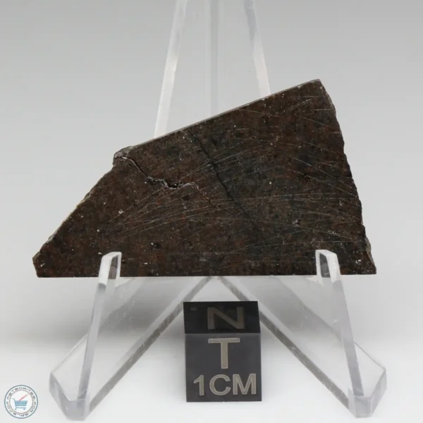 NWA 10816 Meteorite 9.1g