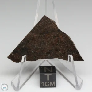 NWA 10816 Meteorite 9.9g