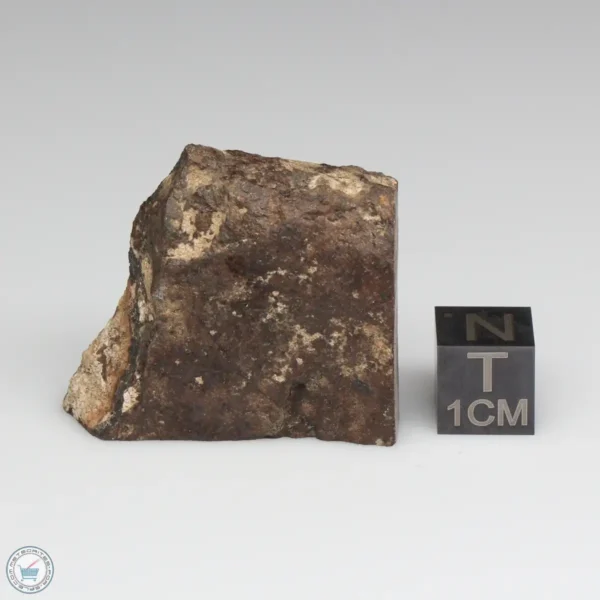 NWA 10816 Meteorite 18.9g Part End Cut