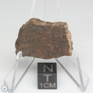 NWA 10828 Meteorite 5.6g