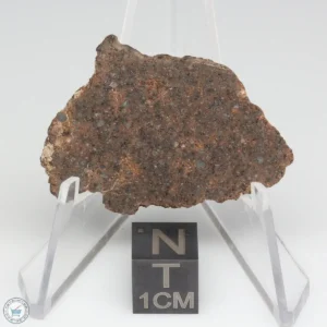 NWA 10828 Meteorite 5.8g