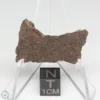 NWA 10828 Meteorite 5.0g