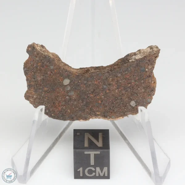 NWA 10828 Meteorite 7.6g