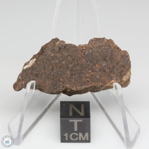 NWA 10828 Meteorite 7.3g