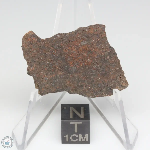 NWA 10828 Meteorite 5.1g