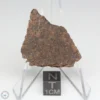 NWA 10828 Meteorite 7.5g