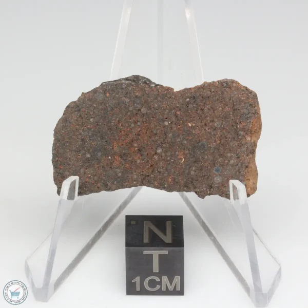 NWA 10828 Meteorite 9.5g