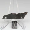 NWA 8008 Meteorite 3.5g