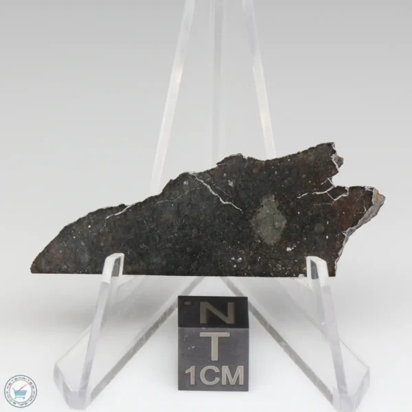 NWA 8008 Meteorite 6.1g