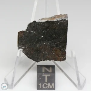 NWA 8008 Meteorite 6.9g