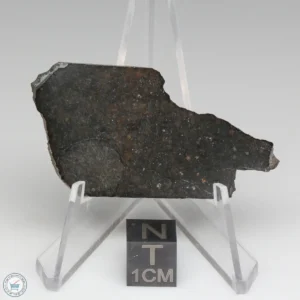 NWA 8008 Meteorite 9.8g