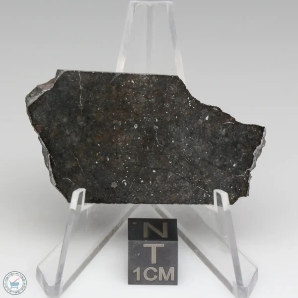 NWA 8008 Meteorite 10.5g