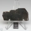 NWA 8008 Meteorite 11.4g