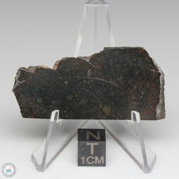 NWA 8008 Meteorite 11.4g