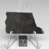 NWA 8008 Meteorite 9.3g