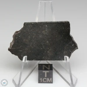 NWA 8008 Meteorite 9.3g