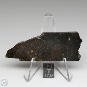 NWA 8008 Meteorite 14.1g