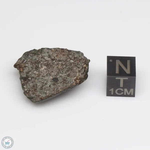 NWA 869 Meteorite 8.2g