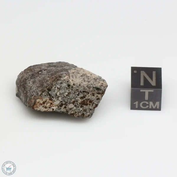 NWA 869 Meteorite 13.1g