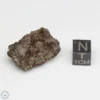 NWA 869 Meteorite 11.9g