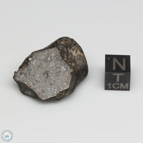 NWA 869 Meteorite 14.3g