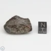 NWA 869 Meteorite 19.9g