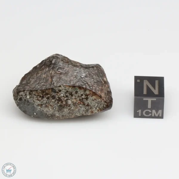 NWA 869 Meteorite 19.9g