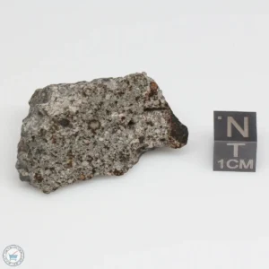 NWA 869 Meteorite 26.9g