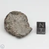 NWA 869 Meteorite 22.8g