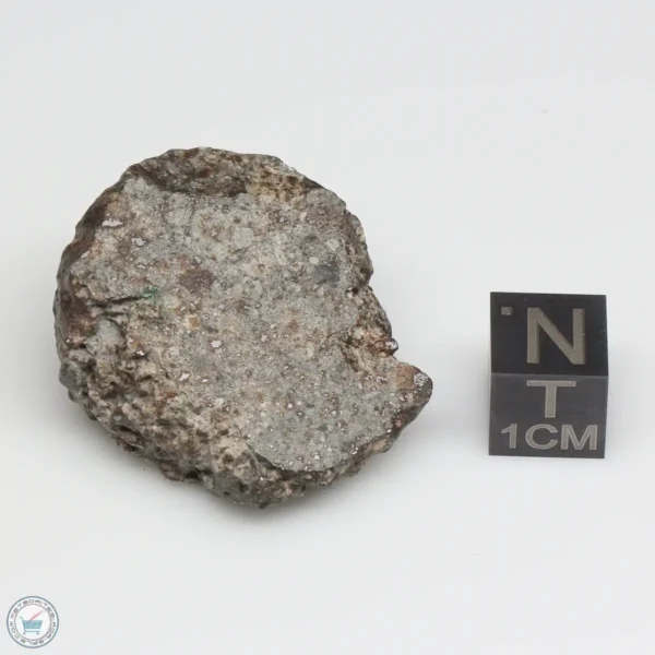 NWA 869 Meteorite 22.8g