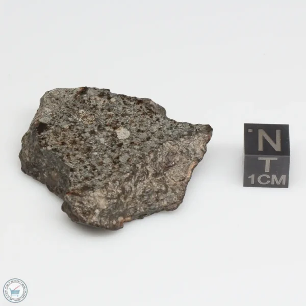 NWA 869 Meteorite 24.4g