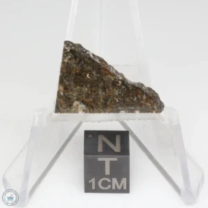 NWA 8743 Meteorite 1.5g