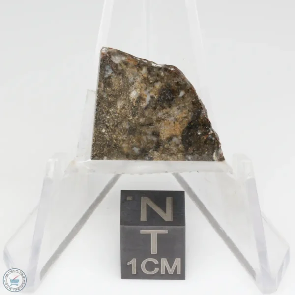 NWA 8743 Meteorite 1.7g