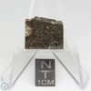 NWA 8743 Meteorite 1.8g