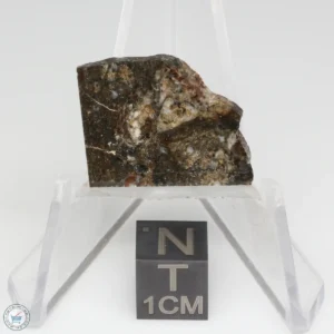 NWA 8743 Meteorite 2.4g