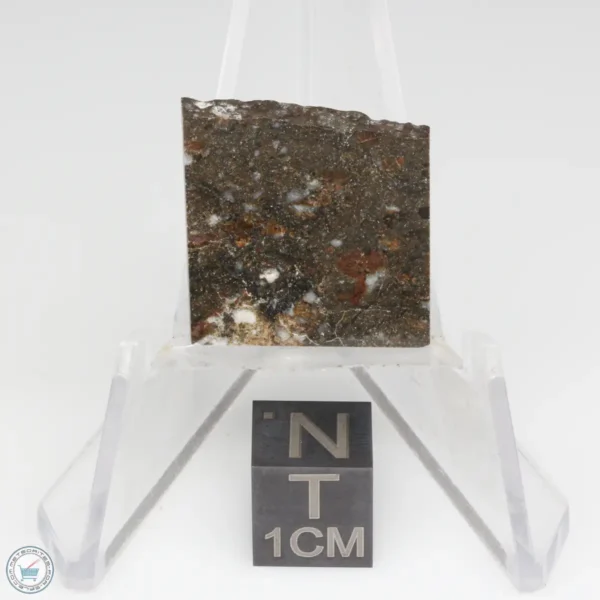 NWA 8743 Meteorite 2.6g