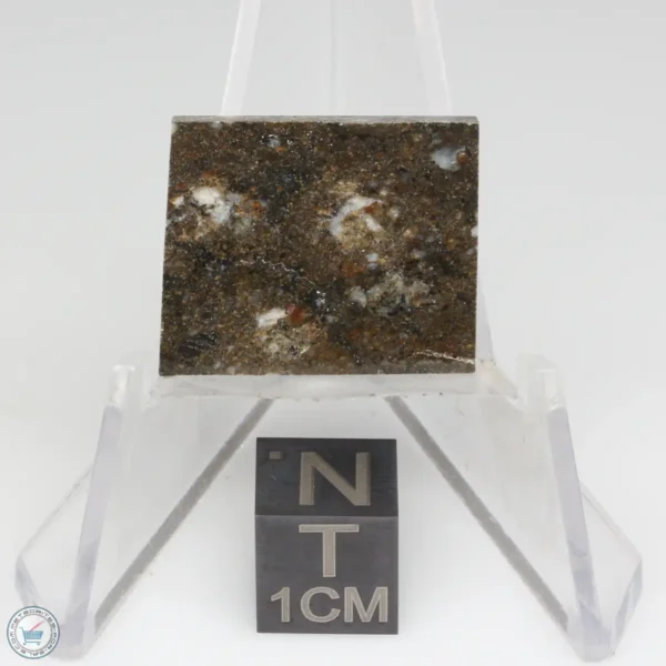 NWA 8743 Meteorite 2.6g