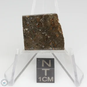 NWA 8743 Meteorite 2.8g