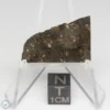 NWA 8743 Meteorite 2.9g