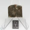 NWA 8743 Meteorite 3.0g