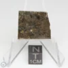 NWA 8743 Meteorite 2.9g