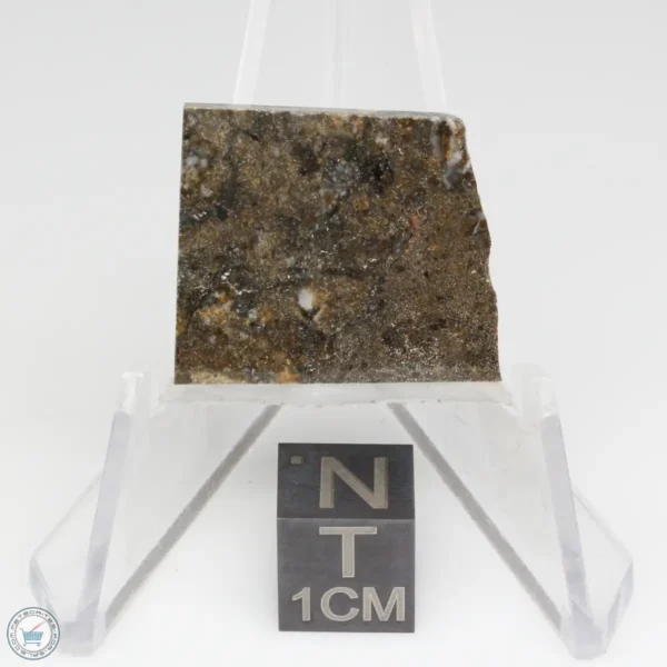 NWA 8743 Meteorite 2.9g