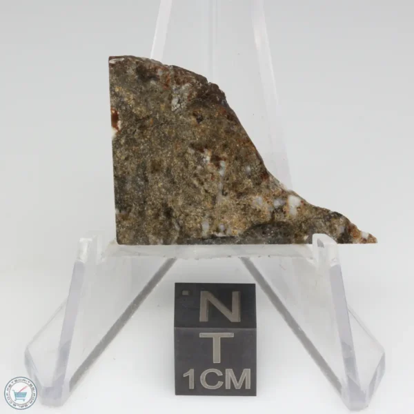 NWA 8743 Meteorite 2.8g