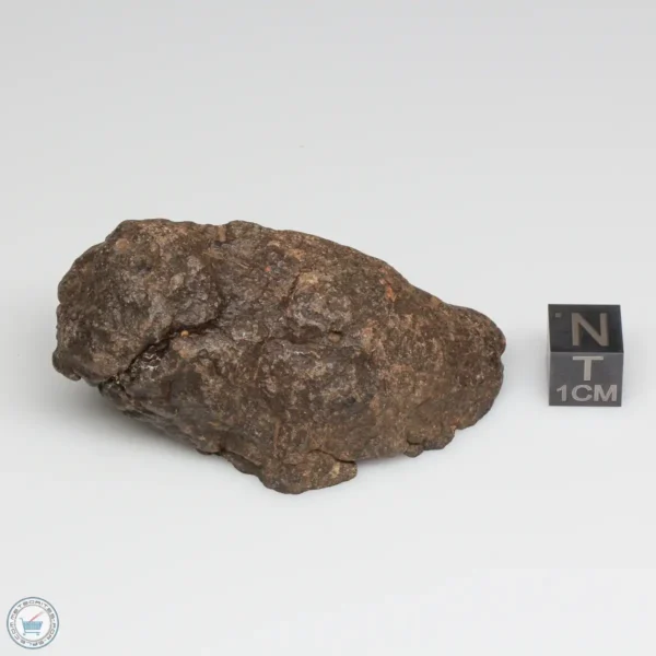 Al Haggounia 001 EL-melt Meteorite 81.3g Windowed Stone