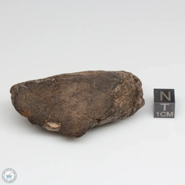 Al Haggounia 001 EL-melt Meteorite 81.3g Windowed Stone